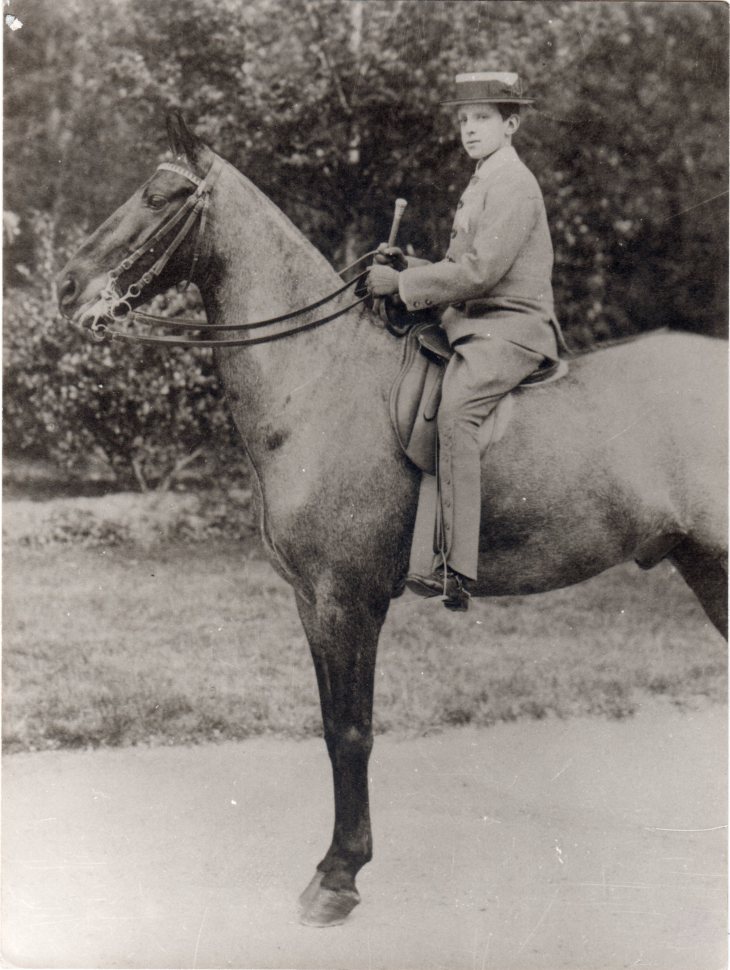 Alfonso XIII niño a caballo, retratado por Jose Demaría López, Campúa padre