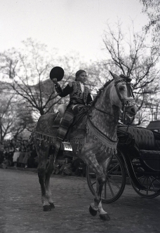 Un caballo engalanado para el desfile de San Antón, fotografiado por Campúa en 1953