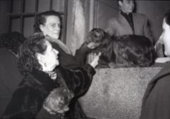 Los perros también eran llevados a bendecir ante San Antón, fotografiados por Campúa en 1955