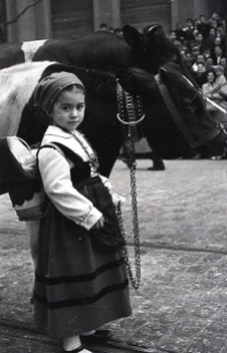 Una niña vestida de asturiana junto a una vaca lechera en el desfile de San Antón fotografiado por Campúa en 1955