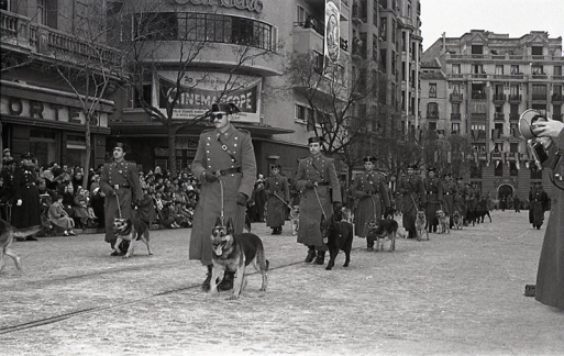 La guardia civil con sus perros en el desfile de San Antón fotografiado por Campúa en 1955
