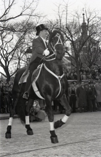 El jinete suizo Fredy Knie, entonces director del Circo Price, a lomos de un frisón negro, fotografiado por Campúa durante el desfile de 1955