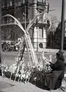 La víspera del domingo de ramos de 1953, el 28 de marzo, una vendedora de palmas es retratada por Pepe Campúa en las calles de Madrid